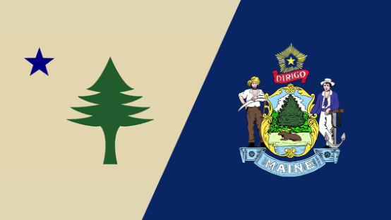 The Maine State Flag