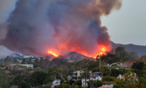 Fires in the Pacific Palisades